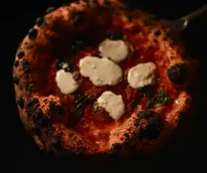 Tasty pizza with fresh mozzarella from La Lupa. 